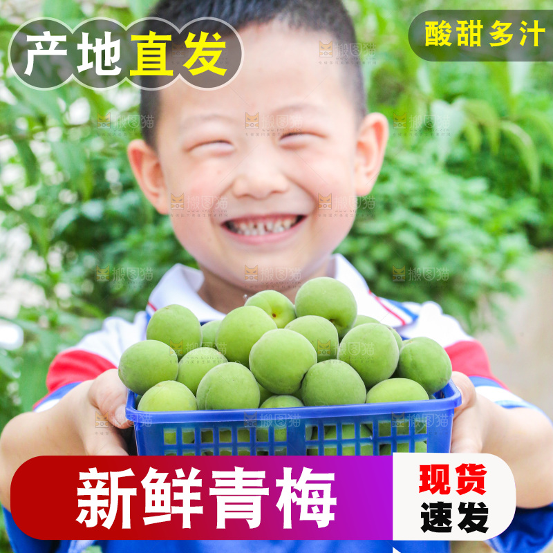 手里拿着新鲜青梅