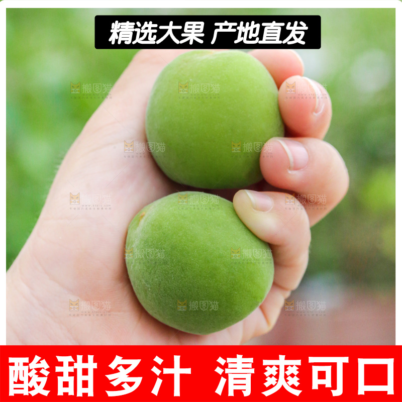 手里拿着新鲜青梅