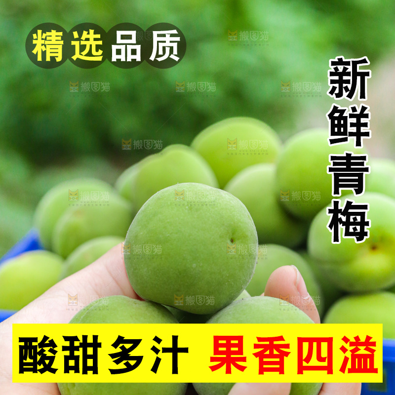 手里拿着新鲜青梅