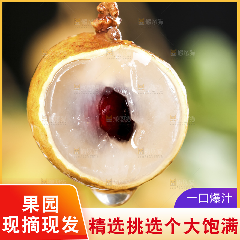 深底上的石硖龙眼