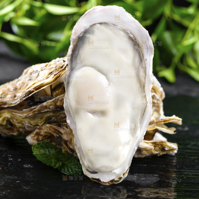 深底上的乳山生蚝