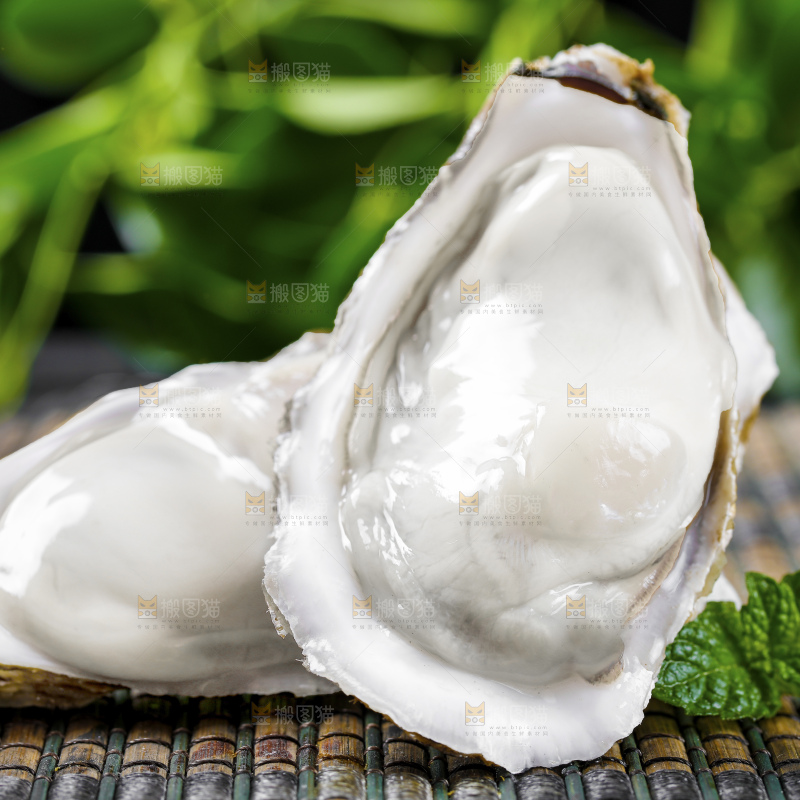 深底上的乳山生蚝