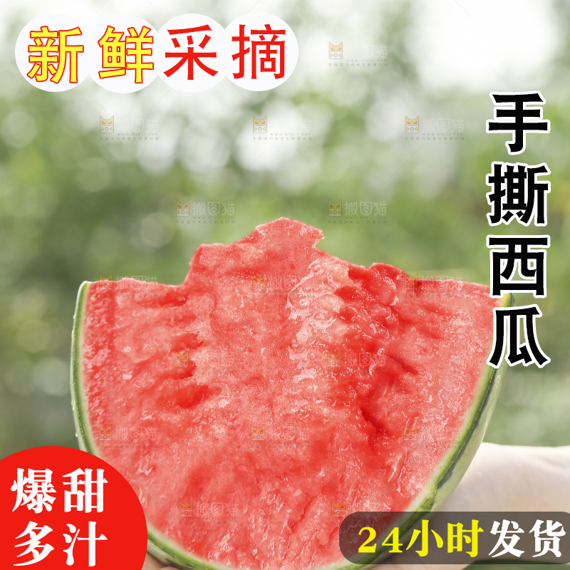 手里拿着红瓤西瓜