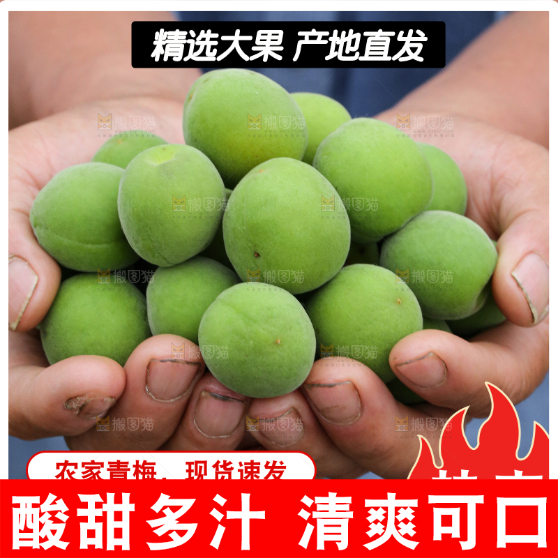 云南青梅主图