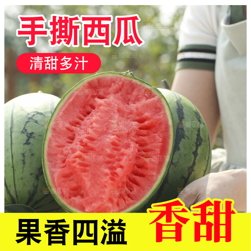 手里拿着红瓤西瓜