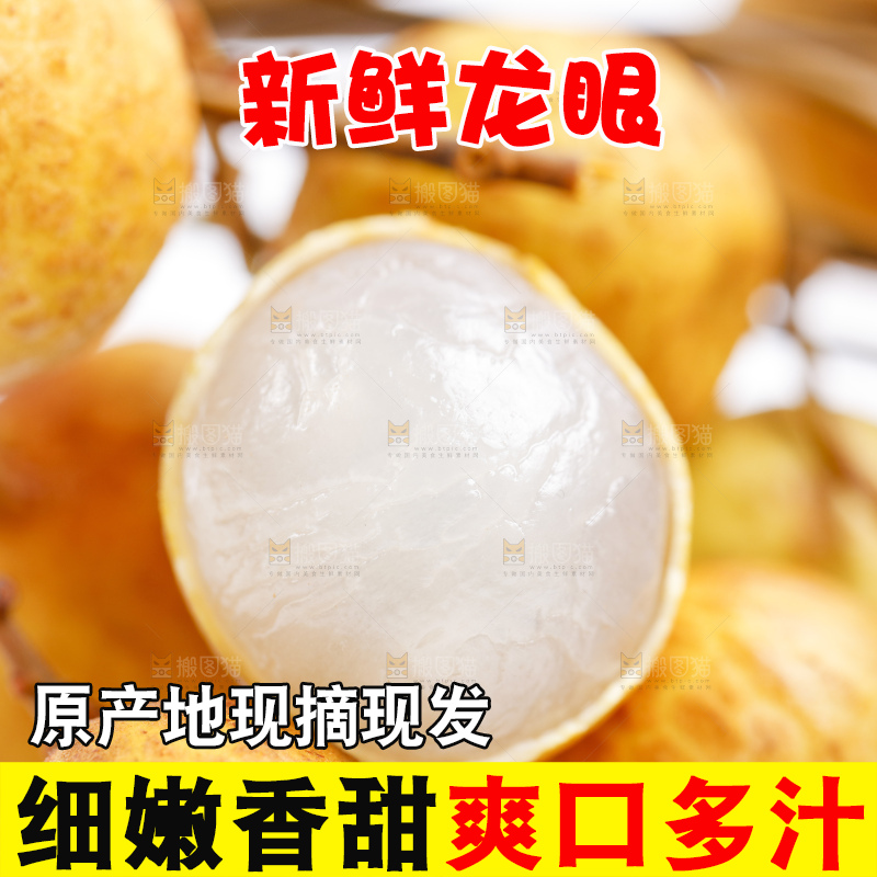 深底上的石硖龙眼