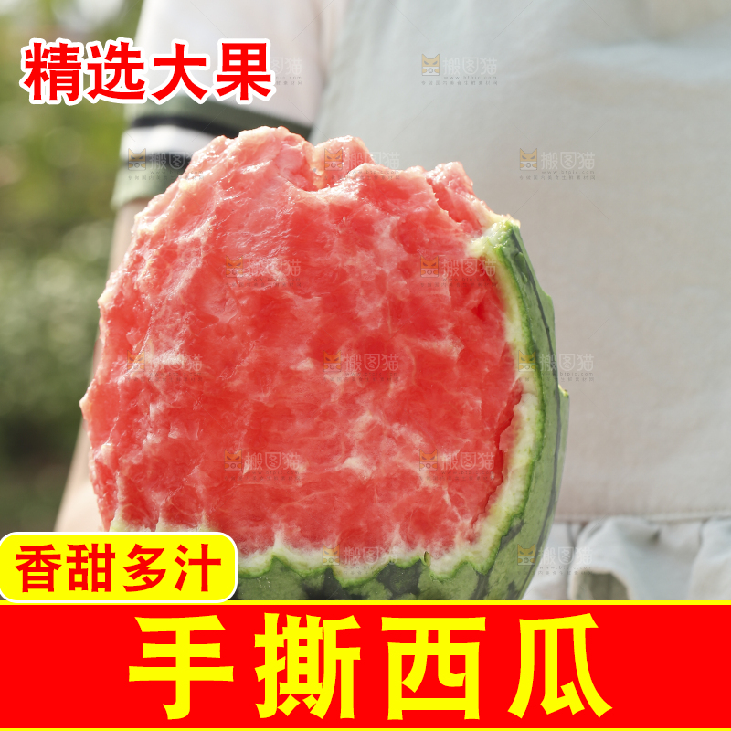 手里拿着红瓤西瓜