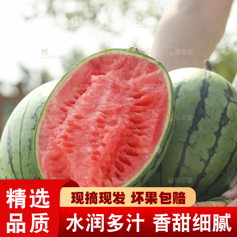 手里拿着红瓤西瓜