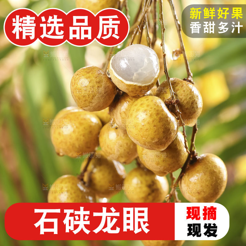 深底上的石硖龙眼