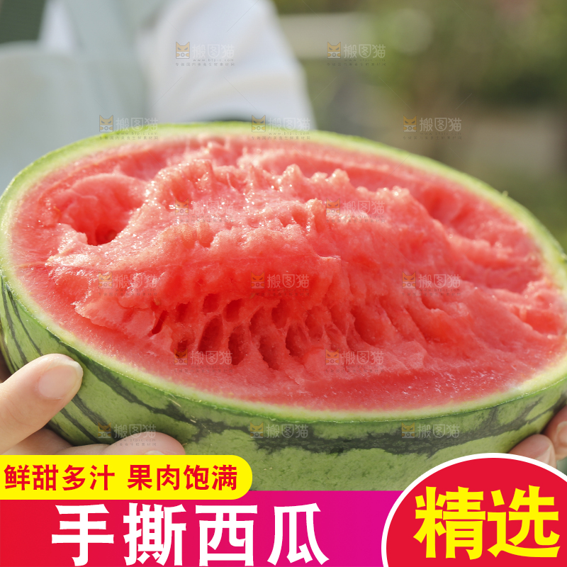 手里拿着红瓤西瓜