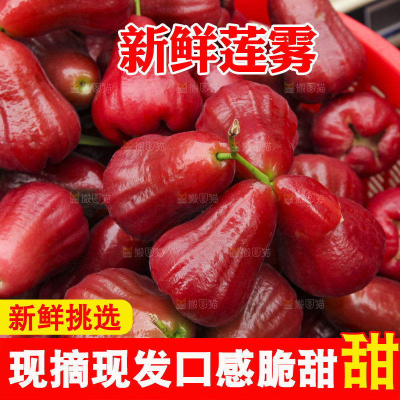 浅底上的莲雾