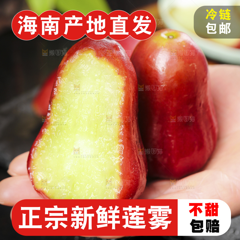 浅底上的莲雾