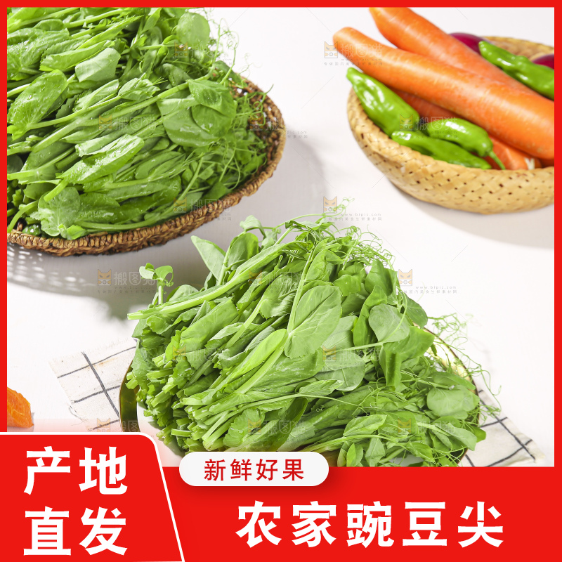 浅底上的豌豆尖