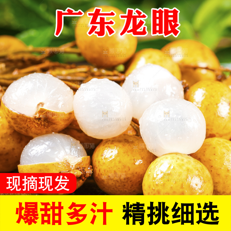 深底上的石硖龙眼
