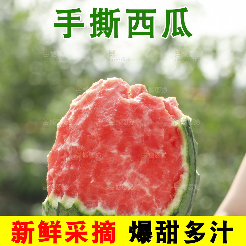 手里拿着红瓤西瓜
