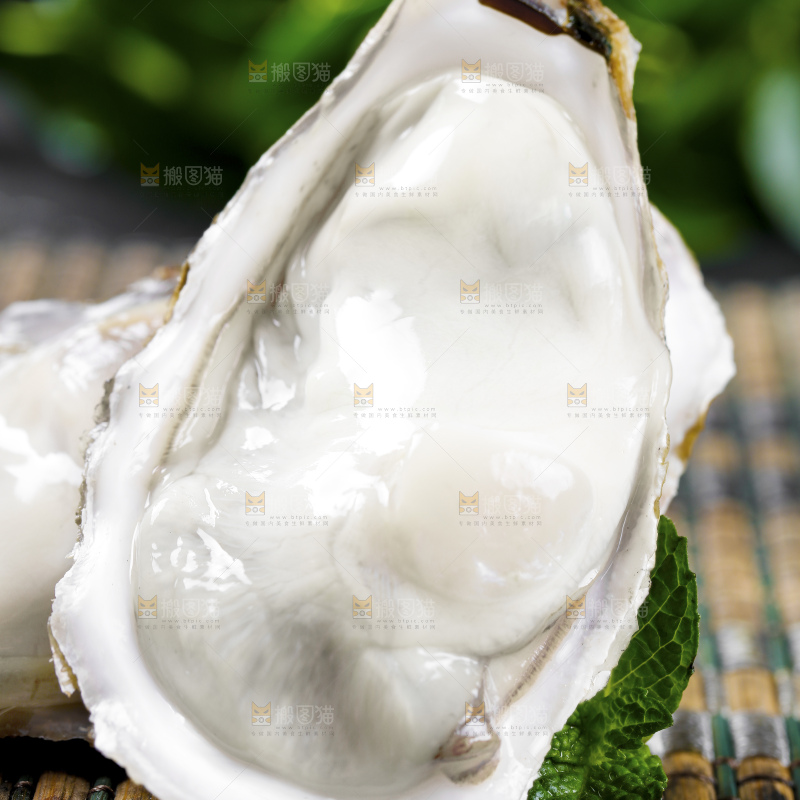 深底上的乳山生蚝