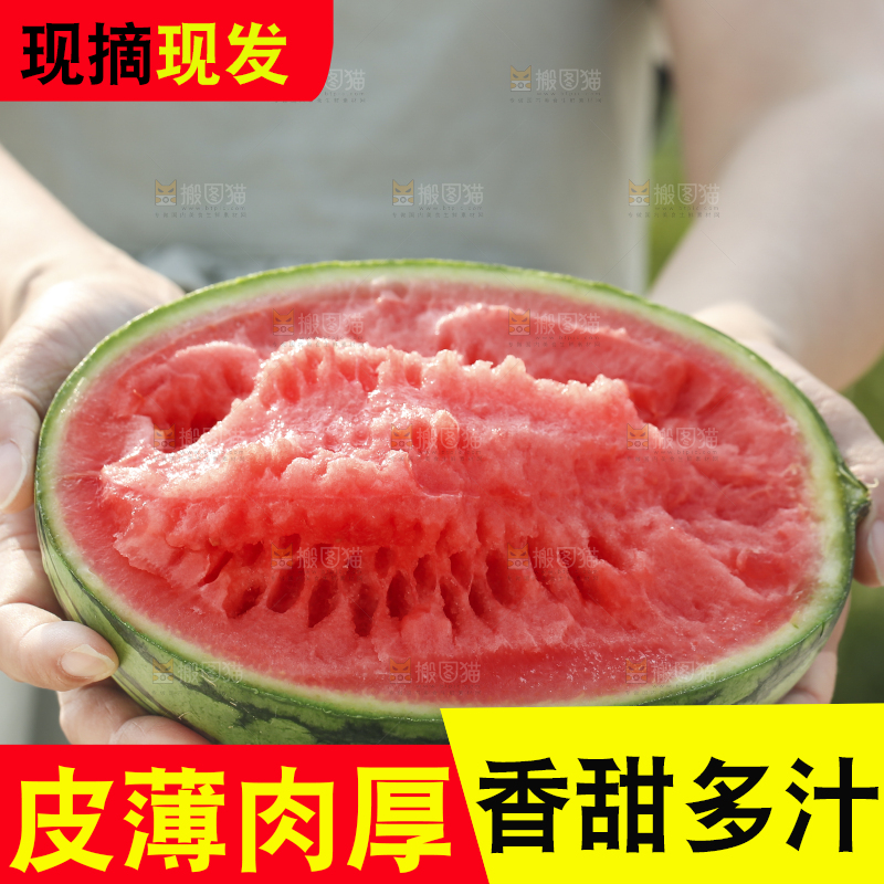 手里拿着红瓤西瓜