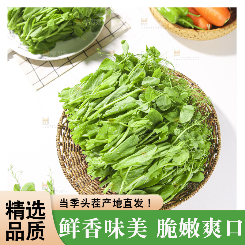 浅底上的豌豆尖