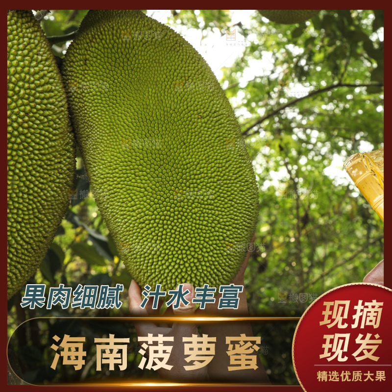 手里拿着新鲜菠萝蜜