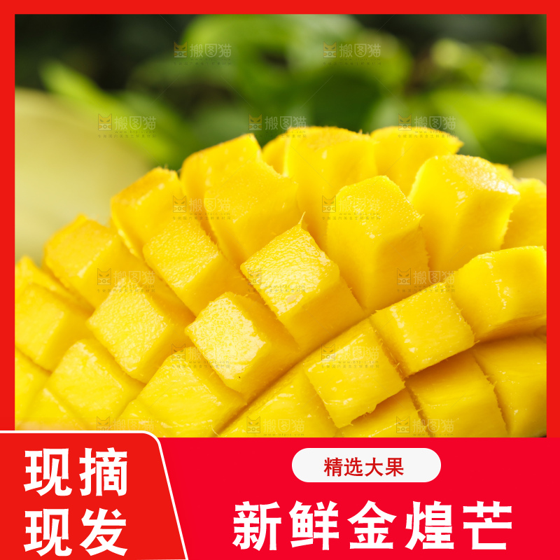 深底上的金煌芒