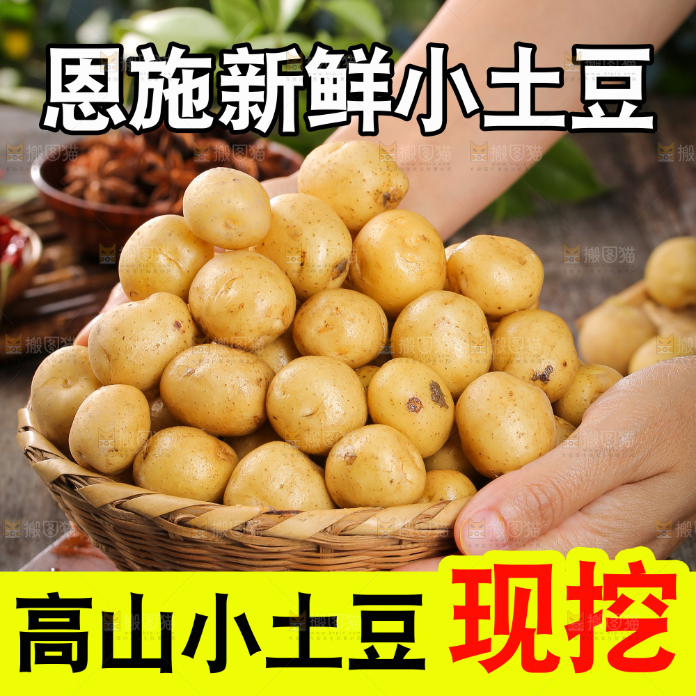 新鲜小土豆主图