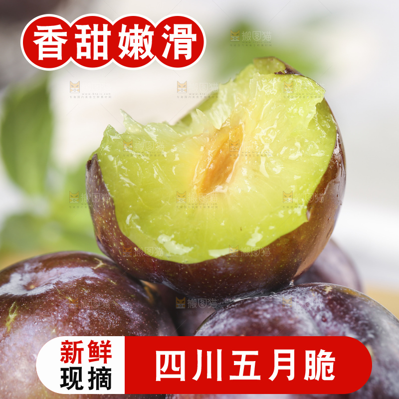 浅底上的五月脆李