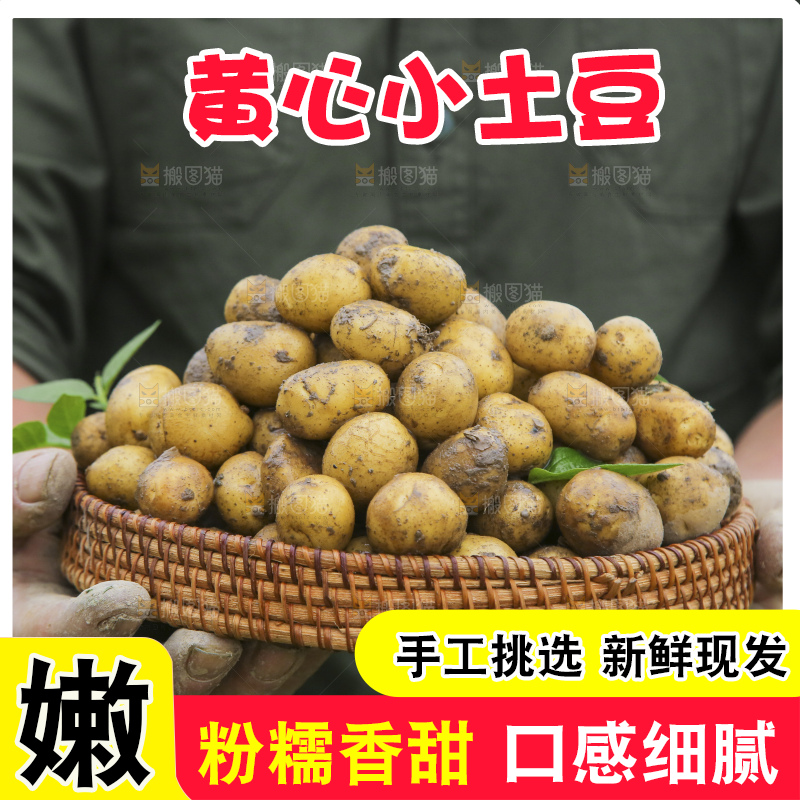 深底上的小土豆
