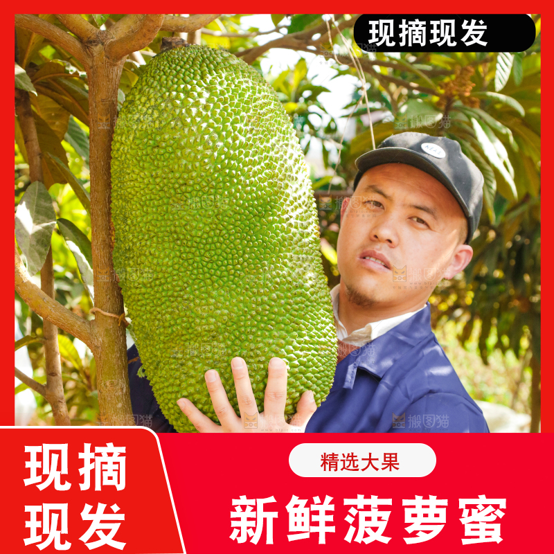海南菠萝蜜主图