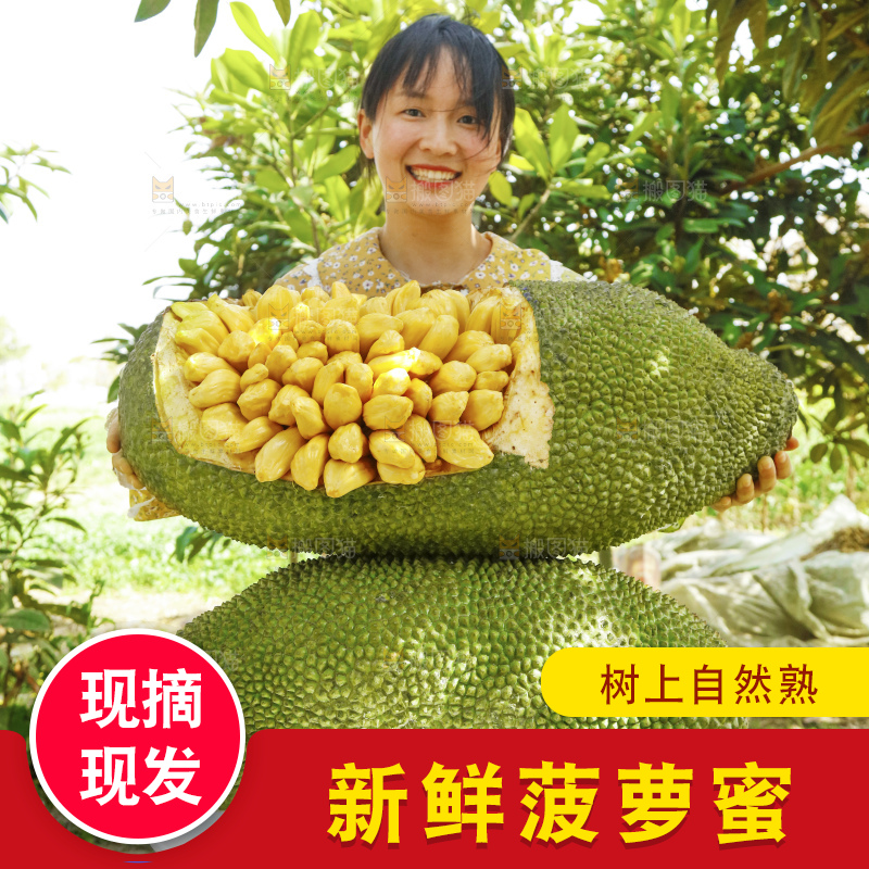 深底上的黄肉菠萝蜜