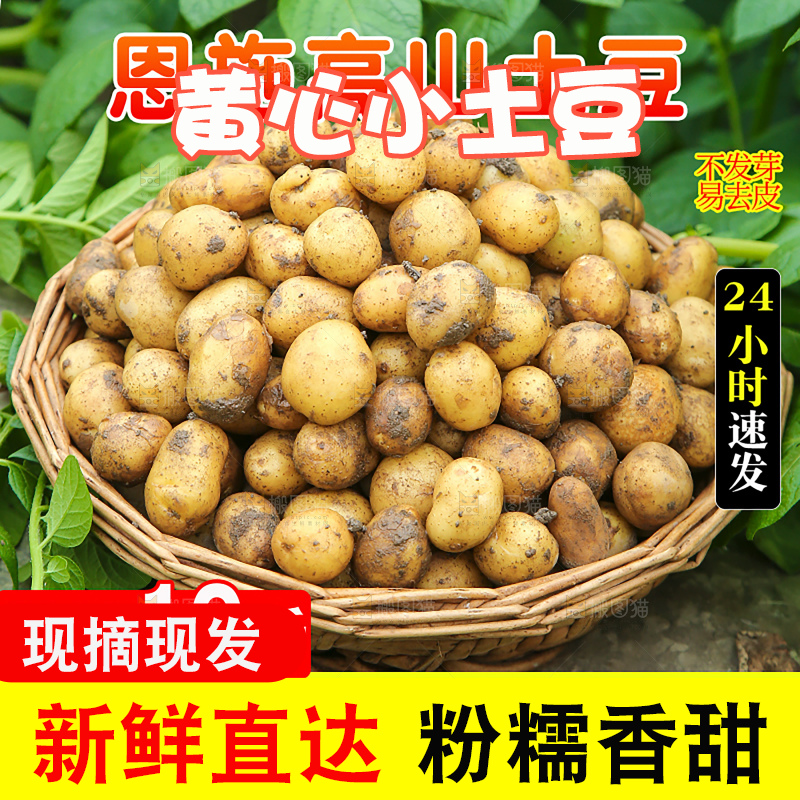 新鲜小土豆主图