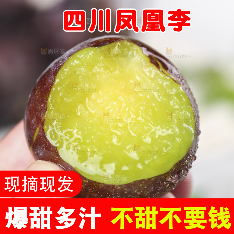 浅底上的五月脆李