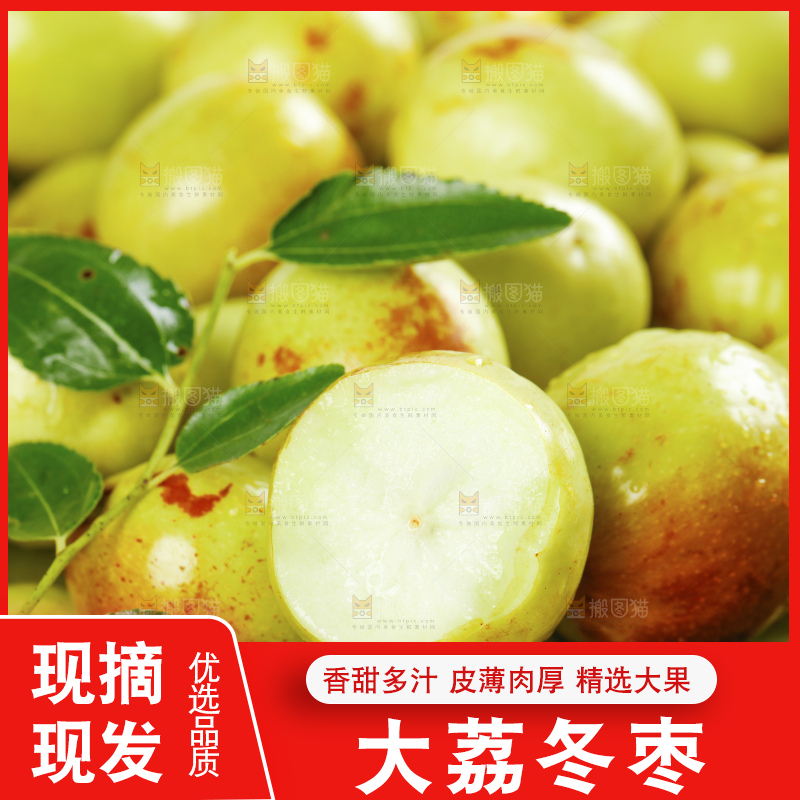 浅底上的大荔冬枣