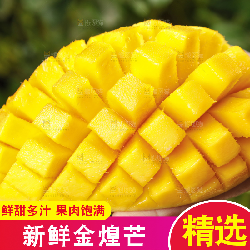 深底上的金煌芒