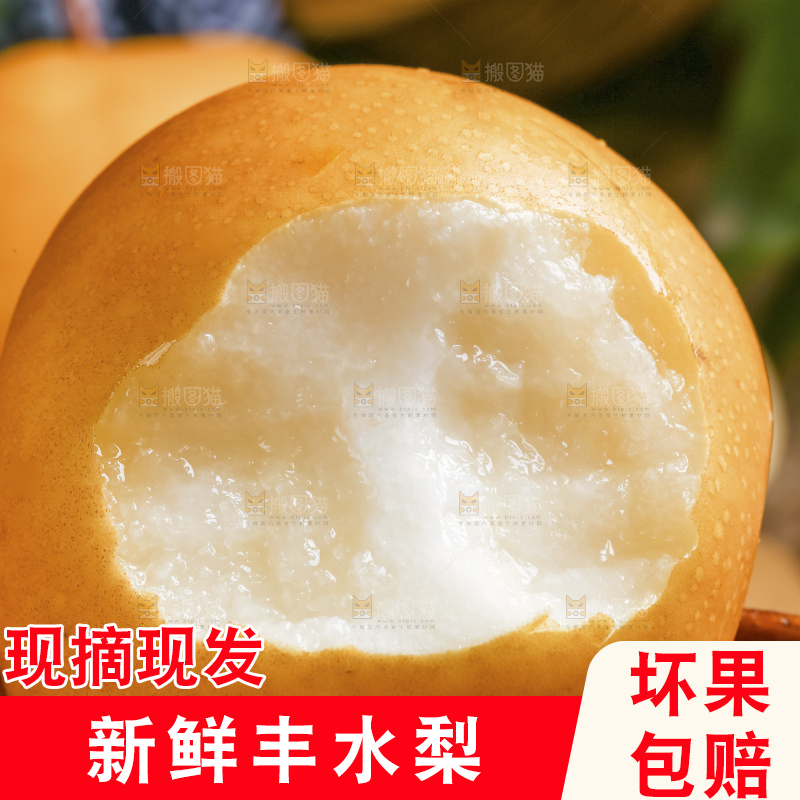 浅底上的丰水梨