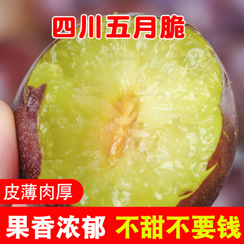 浅底上的五月脆李
