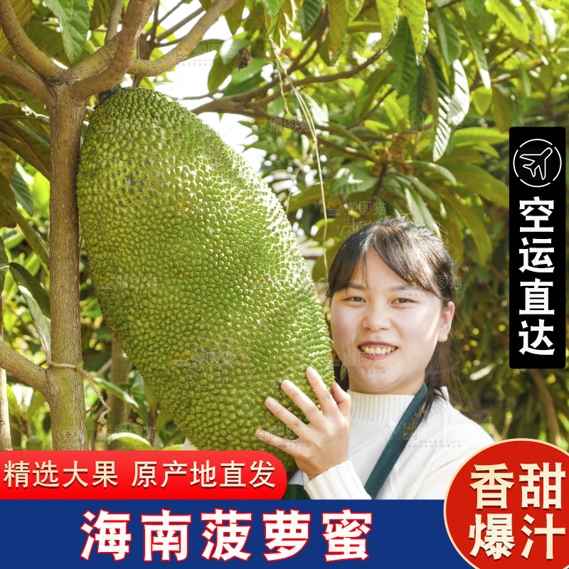 手里拿着新鲜菠萝蜜