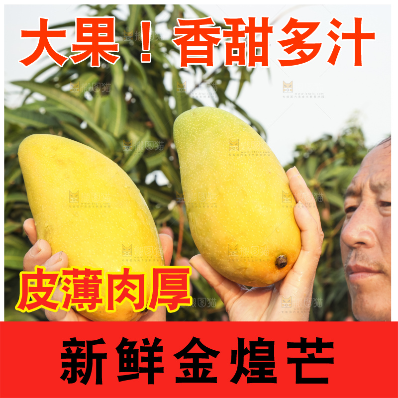 手里拿着金煌芒