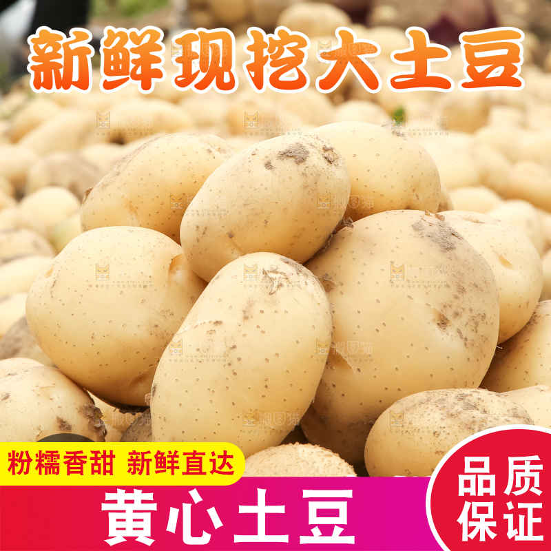 新鲜大土豆主图