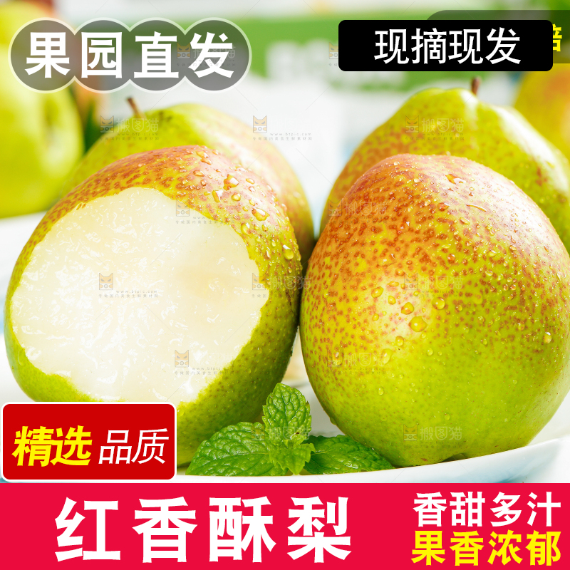 红香酥梨主图