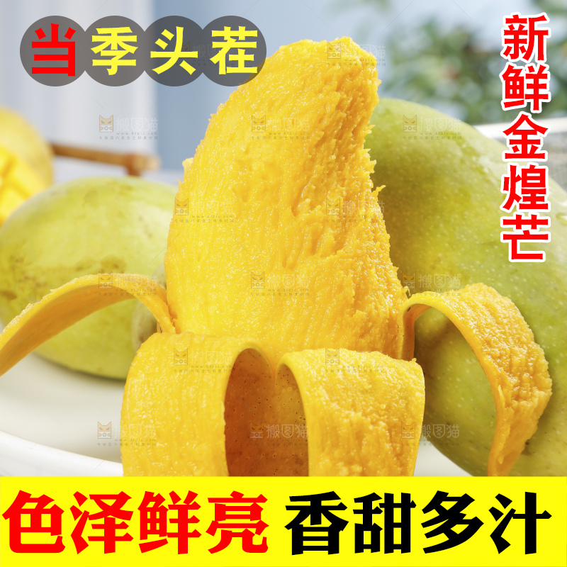 浅底上的绿皮金煌芒