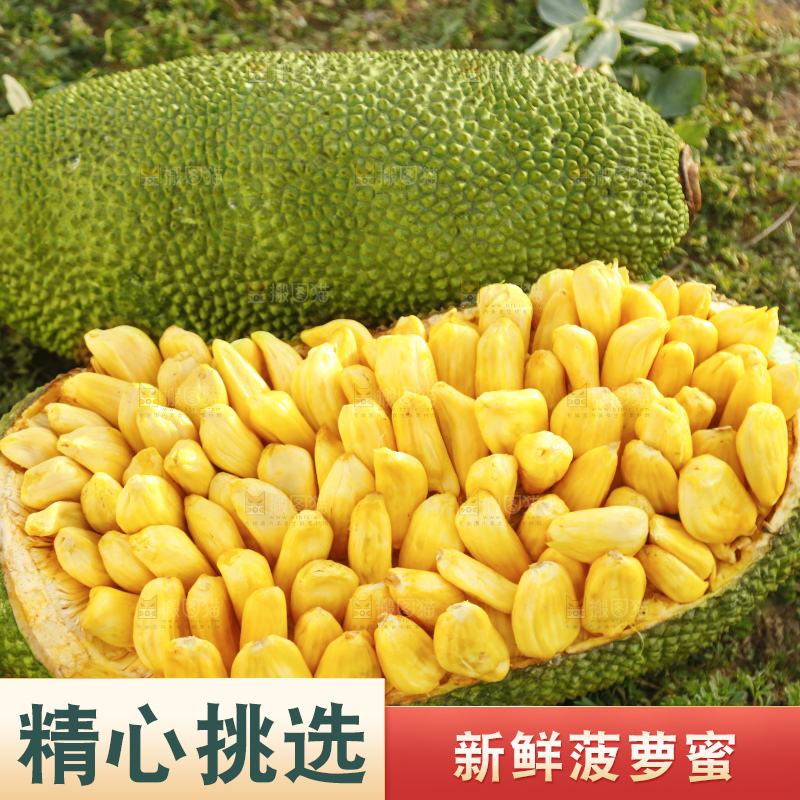 深底上的黄肉菠萝蜜