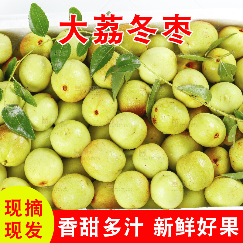 浅底上的大荔冬枣