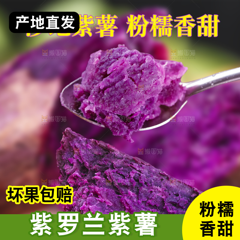 紫罗兰紫薯主图