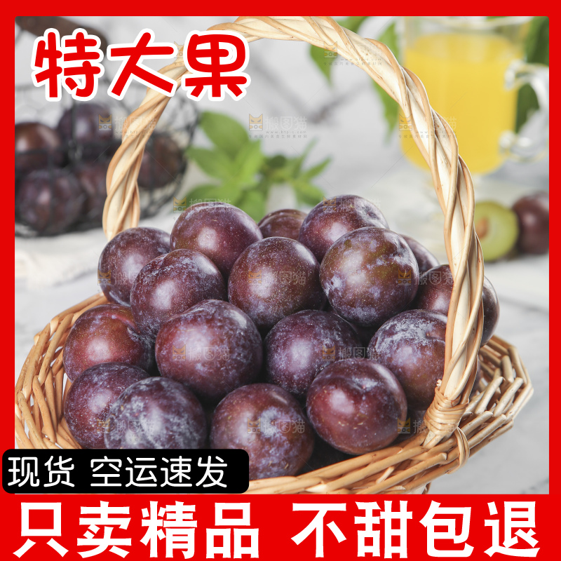 浅底上的五月脆李