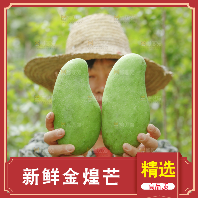 手里拿着金煌芒