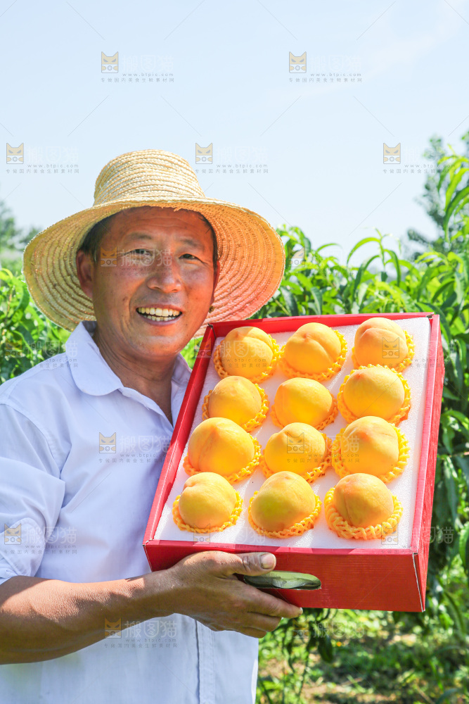 黄桃
