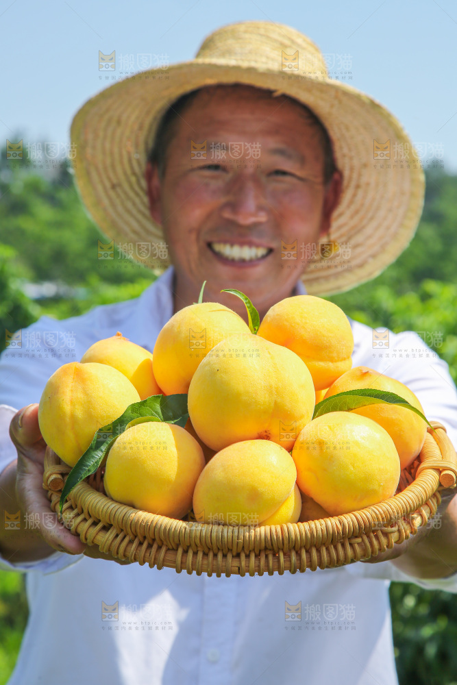 手里拿着黄毛桃