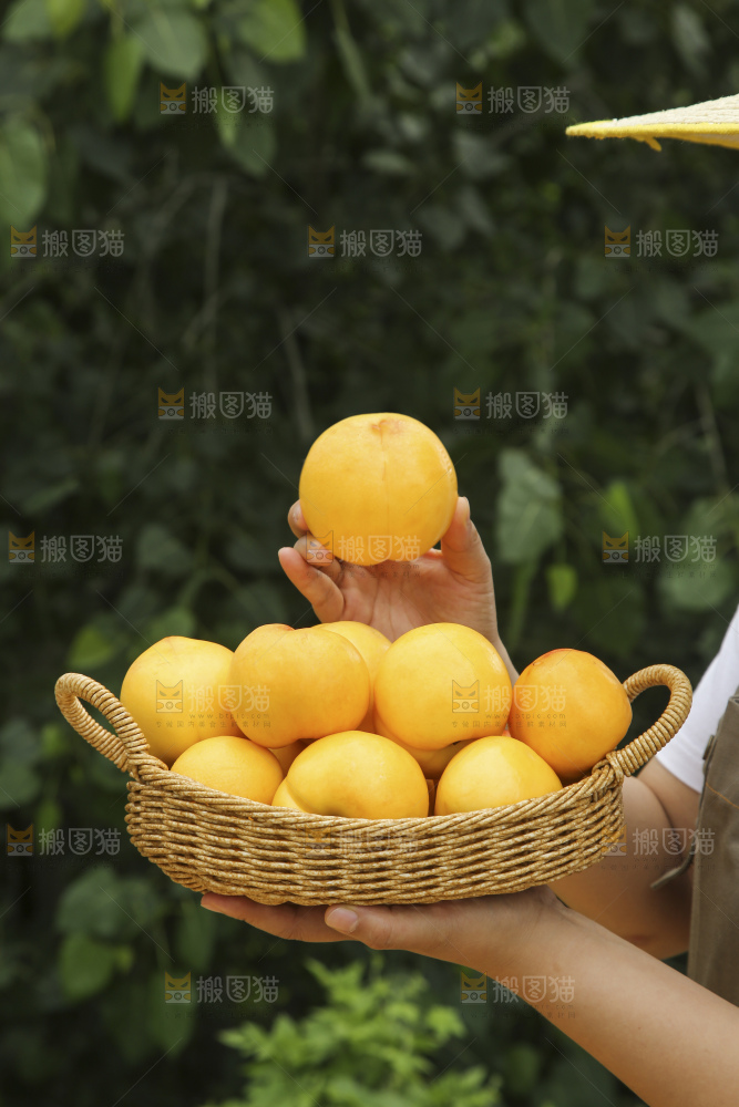 手里拿着黄油桃
