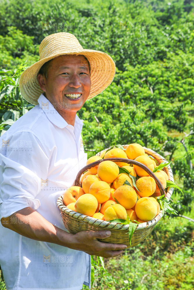 手里拿着黄毛桃
