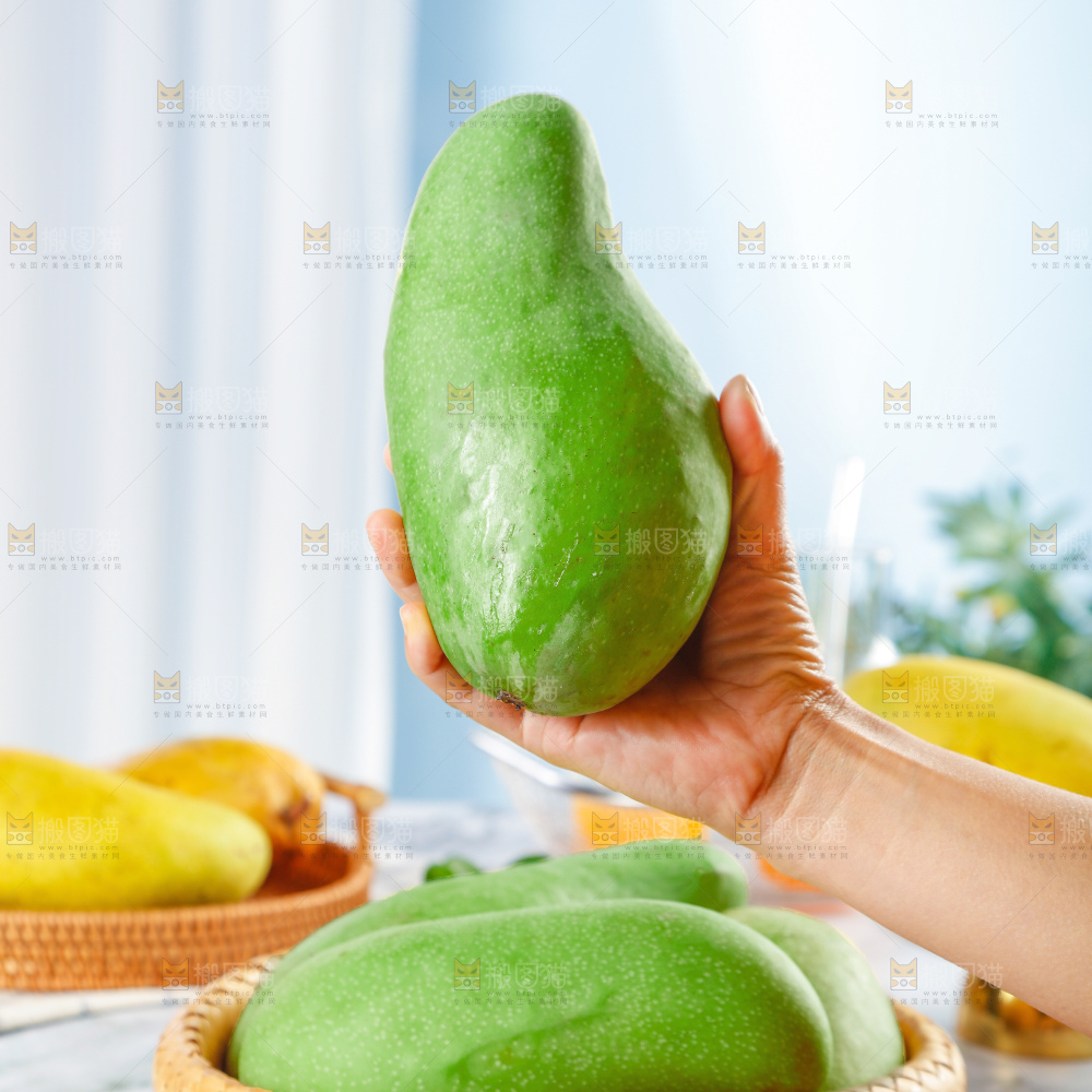 浅底上的绿皮金煌芒